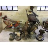 A selection of eleven various bird ornaments including eagle, pheasants, hawk, etc.