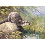 Framed, signed ‘Nance’, oil on board, an otter near a stream, 28.7cm x 49.1cm.