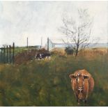 JAMES MAY. Framed, unglazed, signed oil on board, cattle in rural landscape, 68xcm x 68cm.