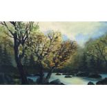 DENNIS O’BRIEN. Framed, signed oil on board depicting autumnal river scene, 82.5cm x 52cm.