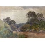 VICTOR BATES. Framed, signed, watercolour on paper, countryside path with trees, 24cm x 34cm.