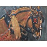 R DONALDSON. Framed, unglazed, signed oil on canvas, A Suffolk Punch Horse, 50cm x 40cm.
