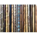 Eighteen wooden walking sticks.