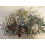 Two framed and glazed, signed watercolour on paper, M.E. DUFFIELD, undergrowth and shrubbery, 17cm x