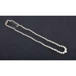 A string of graduated pearls with a sapphire and diamond clasp, stamped 18ct.