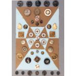 Buttons - metal, mother of pearl, horn and others, 45 including five in papier mache with crushed