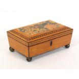 A Regency small format satinwood sewing box of sarcophagal form the sides with painted spear