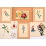 Botanical and other watercolour studies comprising five botanical watercolour studies, four mounted,