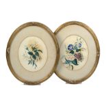 Five 19th Century watercolour studies comprising a pair of botanical ovals, backgrounds stained,