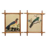 A pair of 19th Century feather work pictures of birds in vibrant colours, one perched on a branch,