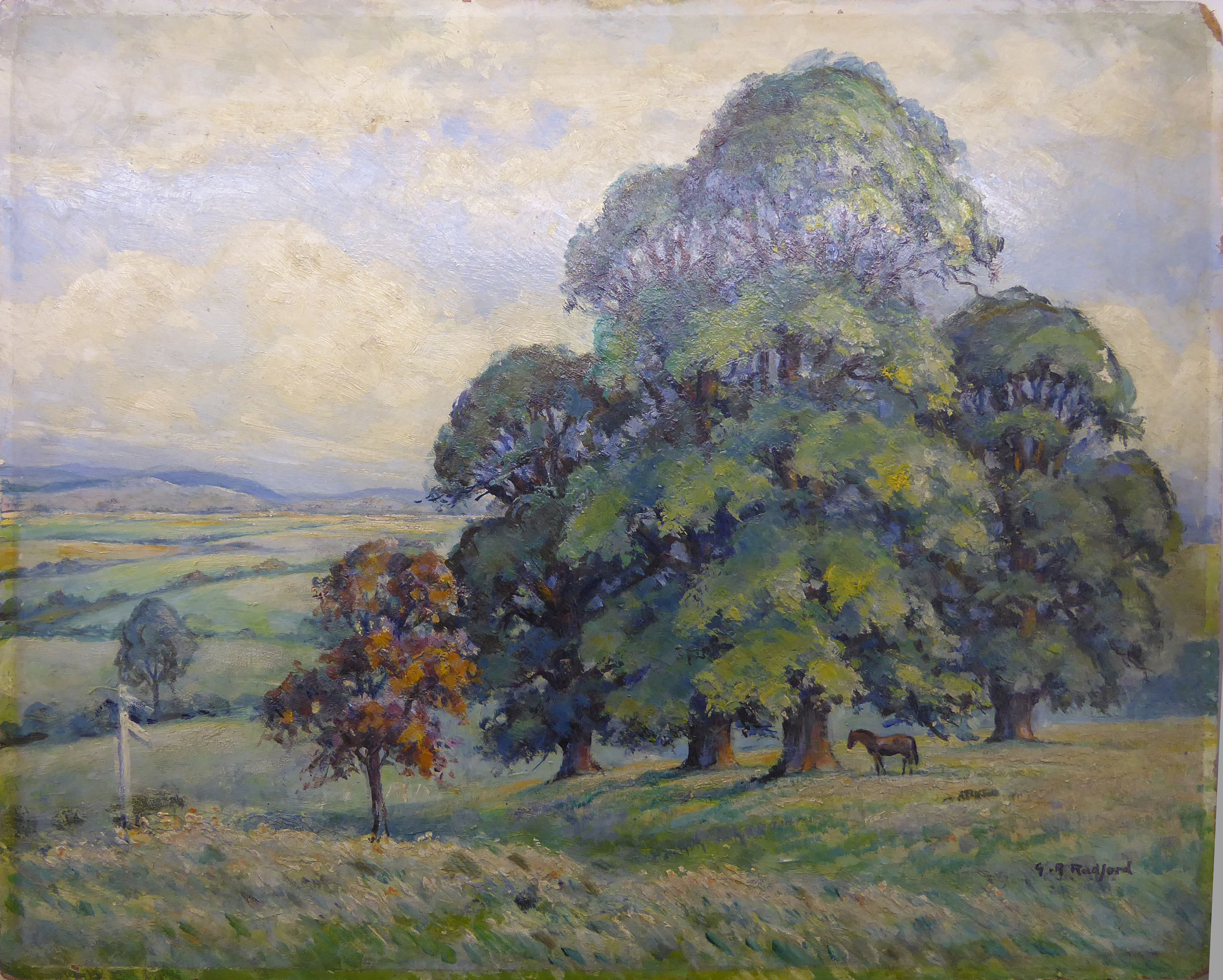 G R RADFORD; Rural landscape with horse beneath a tree, oil on board, signed, 16" (41cms) x 20" (