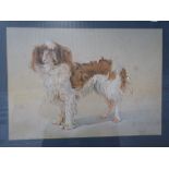 BARRINGTON BRAMLEY; Study of a Cavalier King Charles Spaniel "Kem", Watercolour, signed and dated