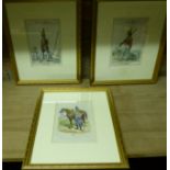 A series of eight coloured Engravings of military uniforms, 8" (20cms) x 5" (13cms), uniformly