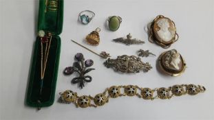 Various cameos, R.A.F brooches etc.
