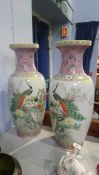 Pair of large Oriental vases