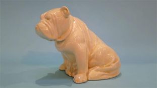 A rare Royal Doulton cream glazed 'Bulldog', D5913