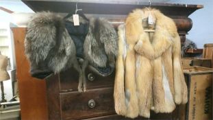 A half length and quarter length fox fur coats (2)