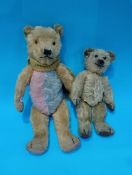 A small plush teddy bear with metal stud in right ear and a bear with a bi-colour body, with stud in