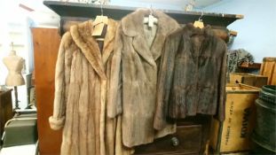 Three Musquash coats