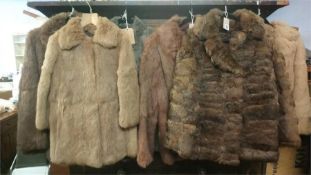 Six rabbit fur coats