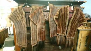 Three Musquash coats