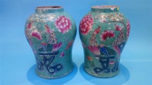 A large pair of Chinese vases decorated on a sage ground with peacocks and chrysanthemums, 36cm