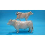 A Beswick Charolais bull and cow