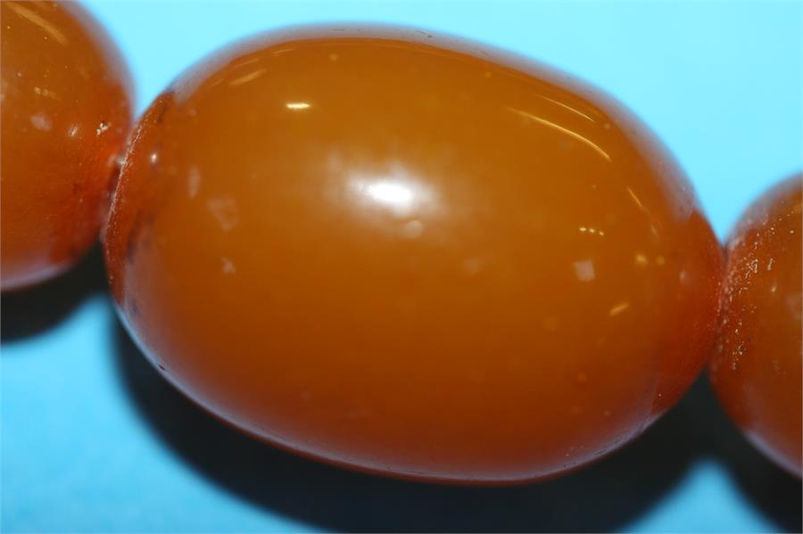 A string of egg yolk Amber coloured beads, 58 grams - Image 6 of 7