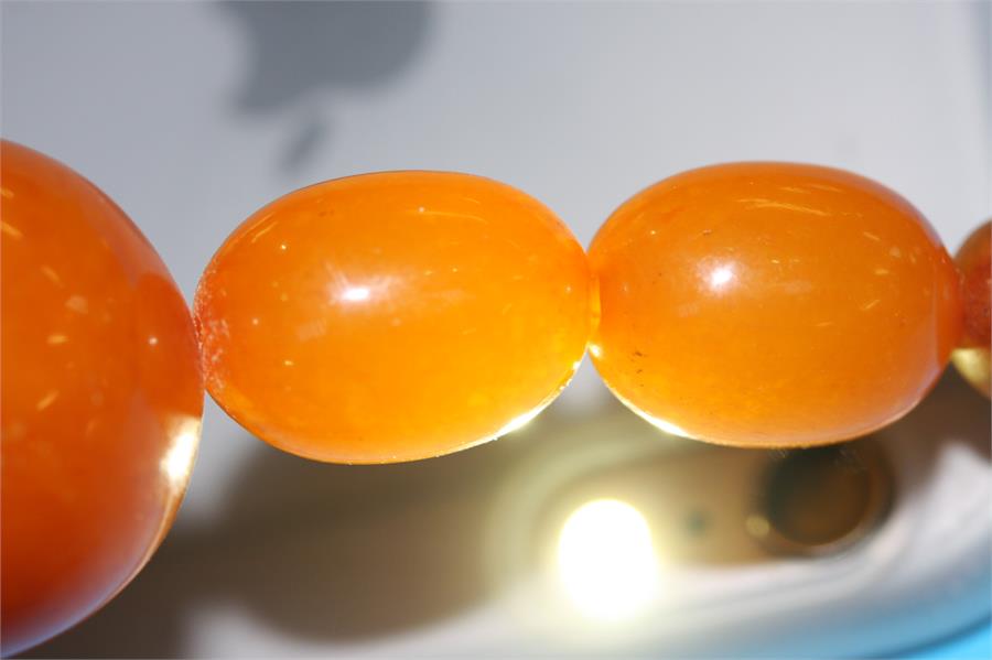 A string of egg yolk Amber coloured beads, 58 grams - Image 7 of 7