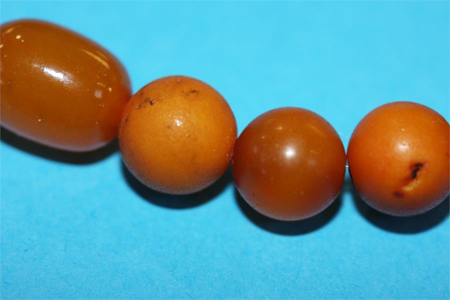 A string of egg yolk Amber coloured beads, 58 grams - Image 4 of 7