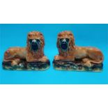 A pair of Staffordshire lions