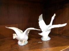 Two Lladro swans