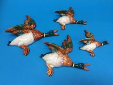 A set of four graduated Beswick pottery wall mounted ducks