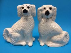 A near pair of Victorian Staffordshire Spaniels, 30cm height