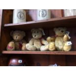 Three various Teddy Bears