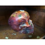 A cast resin skull