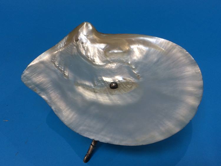 A Mother of Pearl dish mounted on silver metal simulated bamboo legs - Bild 2 aus 4