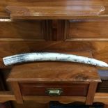 Reproduction Scrimshaw tusk