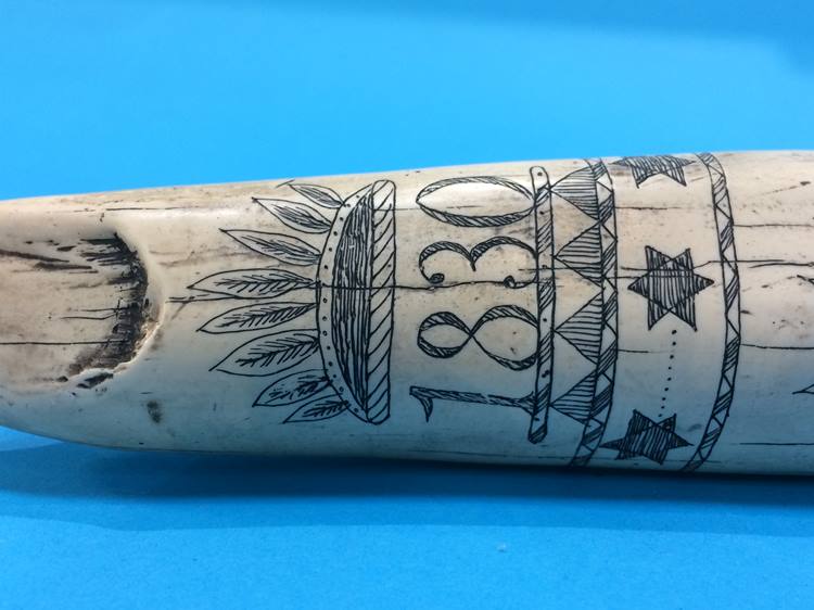 A reproduction scrimshaw - Image 5 of 7