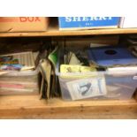 A shelf of miscellaneous, including records and china