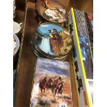 Various American Indian Collectors plates