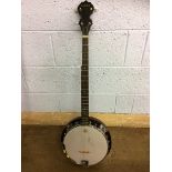 A banjo