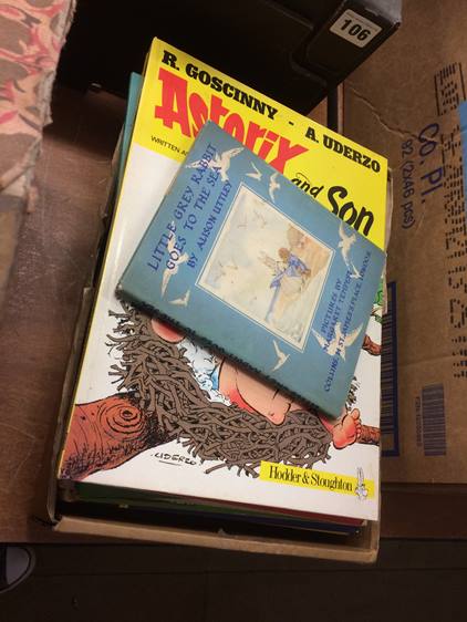 Collection of Asterix books