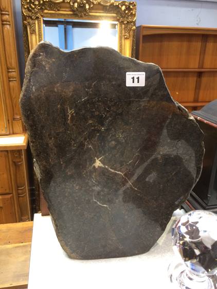 A large piece of fossilized Cordaites, found in the North East Mining fields, 41cm high, 33cm wide