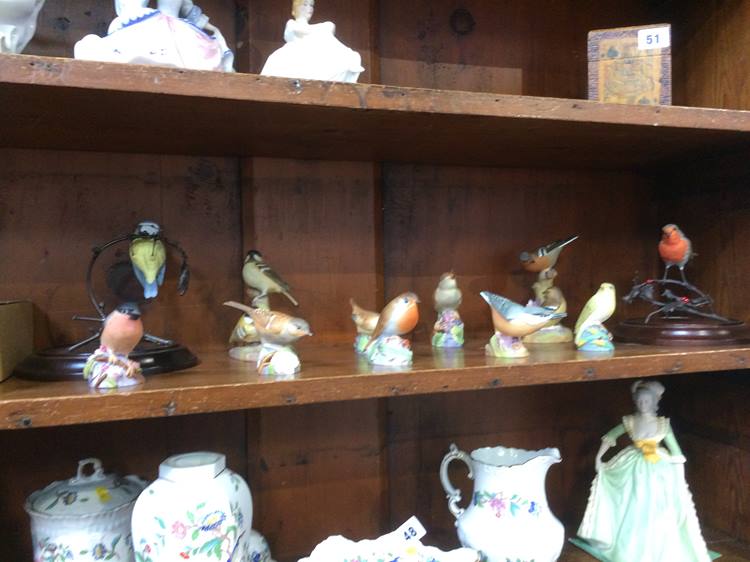 Collection of Royal Worcester birds