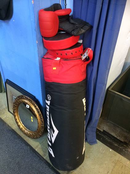 Punch bag and gloves