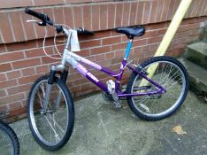 A Raleigh Diva mountain bike