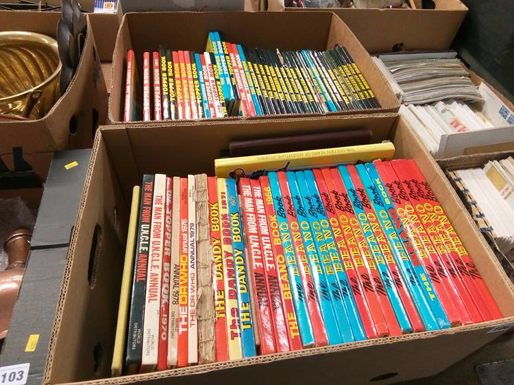 Two boxes of Annuals