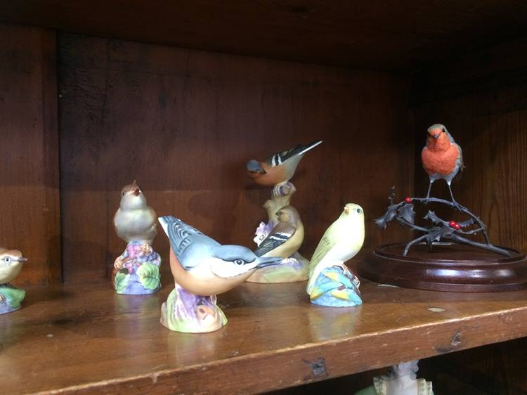 Collection of Royal Worcester birds - Image 2 of 3