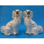 A pair of Staffordshire Spaniels
